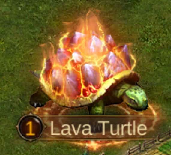 Image of Lava Turtle - Level 1