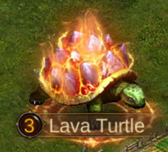 Image of Lava Turtle - Level 3