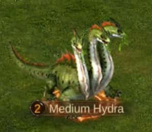 Image of Medium Hydra