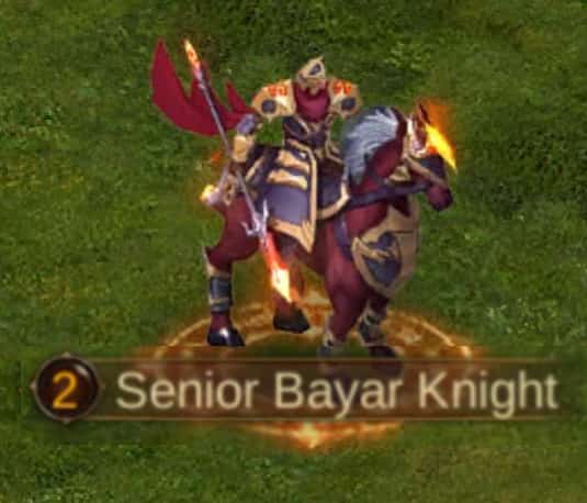 Image of Senior Bayar Knight